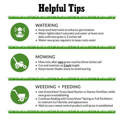 Image showing 5 th GreenView Pure Grass Seed Dense Shade Mixture, 7 lb. Bag Covers up to 3,500 sq. ft.