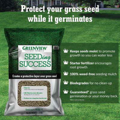 GreenView Fairway Formula Grass Seed Turf Type Tall Fescue Shady Mixture 5 lb 