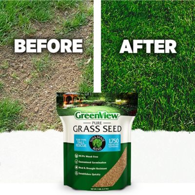 Image showing  Pure Grass Seed Turf Type Tall Fescue Sun & Shade Blend, 20 lb. Bag Covers up to 5,000 sq. ft.