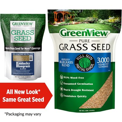 Image showing  Pure Grass Seed Kentucky Bluegrass Blend, 3 lb. Bag - Covers up to 3,000 sq. ft.