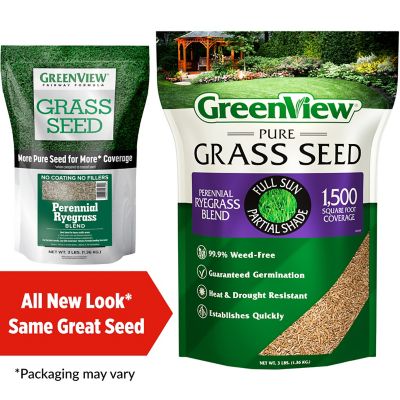Image showing  Pure Grass Seed Perennial Ryegrass Blend, 3 lb. Bag - Covers up to 1,500 sq. ft.