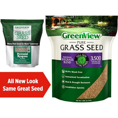 Image showing  Pure Grass Seed Perennial Ryegrass Blend, 7 lb. Bag Covers up to 3,500 sq. ft.