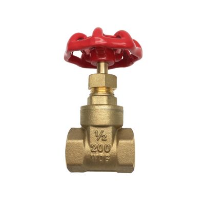 THEWORKS 1/2 in. FIP x FIP Heavy Pattern Threaded Brass Gate Valve