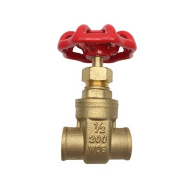 THEWORKS 1/2 in. SWT x SWT Heavy Pattern Brass Gate Valve
