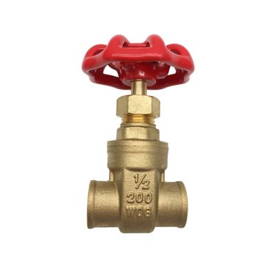 THEWORKS 1 in. SWT x SWT Heavy Pattern Brass Gate Valve