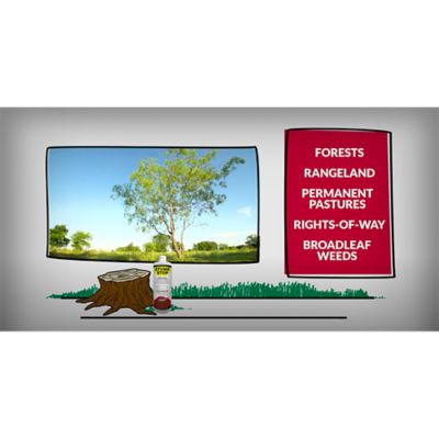 Image showing  32 oz. Cut Stump and Basal Bark Treatment