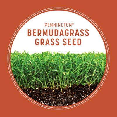 Image showing  15 lb. 15,000 sq. ft. Bermudagrass Grass Seed