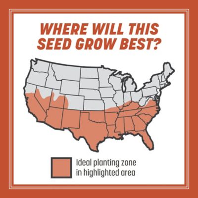 Image showing  15 lb. 15,000 sq. ft. Bermudagrass Grass Seed