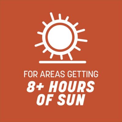 Image showing  15 lb. 15,000 sq. ft. Bermudagrass Grass Seed