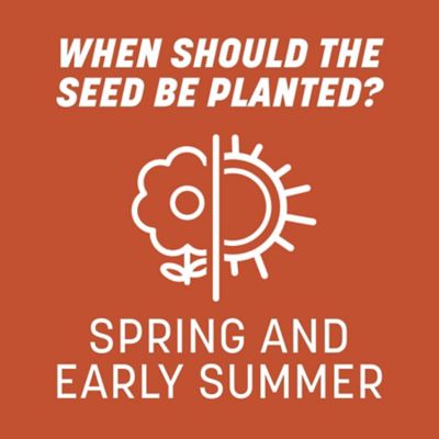 Image showing 7 th Pennington 15 lb. 15,000 sq. ft. Bermudagrass Grass Seed