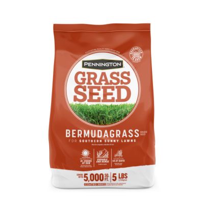 Pennington Bermudagrass Seed, 5 lb., 100532363