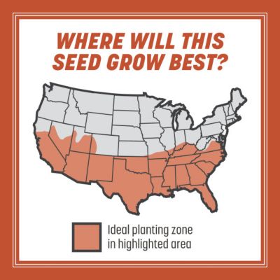 Image showing  Bermudagrass Seed, 5 lb., 100532363