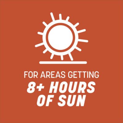 Image showing  Bermudagrass Seed, 5 lb., 100532363