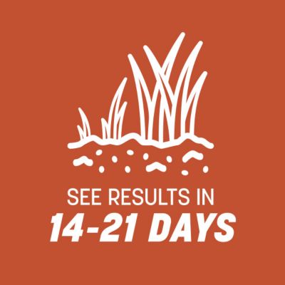 Image showing 5 th Pennington Bermudagrass Seed, 5 lb., 100532363