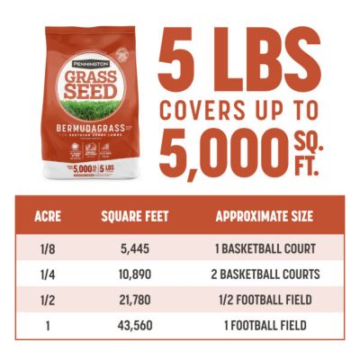 Image showing 7 th Pennington Bermudagrass Seed, 5 lb., 100532363
