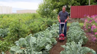 Image showing  9 in. 4-Tine Gas-Powered 2-Cycle Garden Tiller and Cultivator
