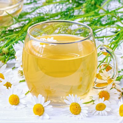 Image showing  Chamomile, 19.3 oz., Live Plant