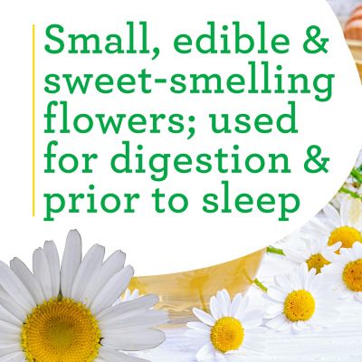 Image showing  Chamomile, 19.3 oz., Live Plant