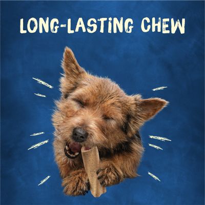 Image showing  Mini Chew Treats for Small Dogs, 21 oz.