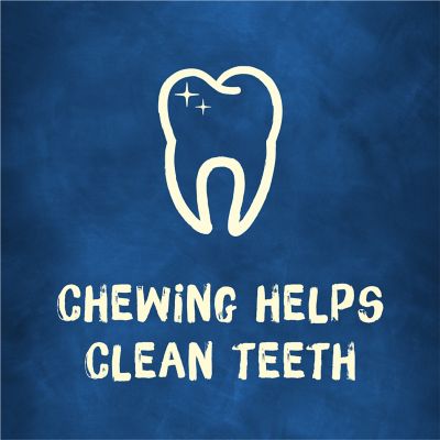 Image showing 7 th Purina Busy Bone Mini Chew Treats for Small Dogs, 21 oz.