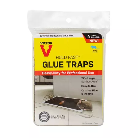 Victor Hold-Fast Mouse Glue Traps 5.9" x 4.3" 4 Pack Animal & Rodent Traps