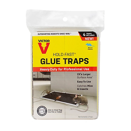 Victor Hold-Fast Mouse Glue Traps, 5.9 in. x 4.3 in., 4-Pack