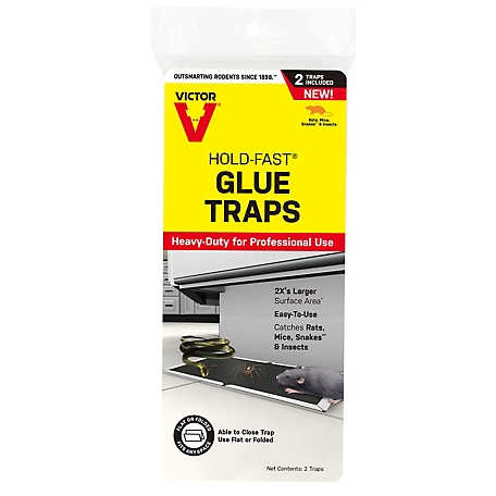 Victor Hold-Fast Rat Glue Traps, 10 in. x 4.3 in., 2-Pack