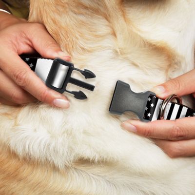 Image showing  American Flag Close-Up Plastic Clip Dog Collar Plastic Clip Dog Collar