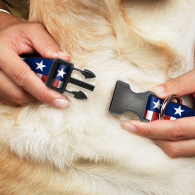 Image showing  Americana Stars and Stripes Plastic Clip Dog Collar Plastic Clip Dog Collar, 20-31 in.