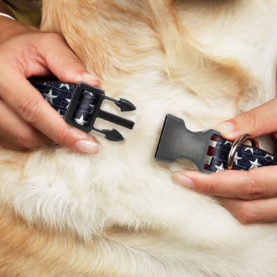 Image showing  Americana Rustic Stars and Stripes Plastic Clip Dog Collar Plastic Clip Dog Collar