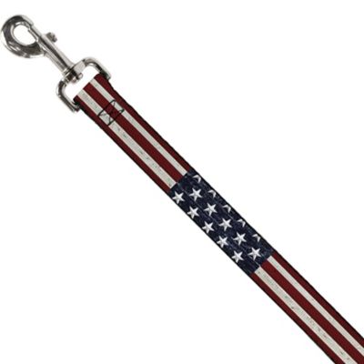 Image showing  Americana Rustic Stars and Stripes Nylon Dog Leash