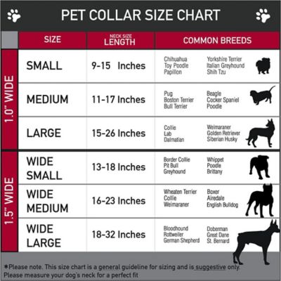 Image showing 2 th Buckle-Down Caution Plastic Clip Dog Collar Plastic Clip Dog Collar