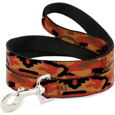 Buckle-Down Dog Leash