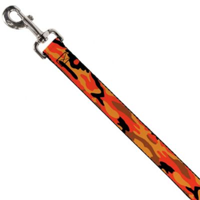 Image showing  Polyester Dog Leash