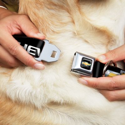 Image showing  Chevrolet Bowtie Seatbelt Buckle Dog Collar