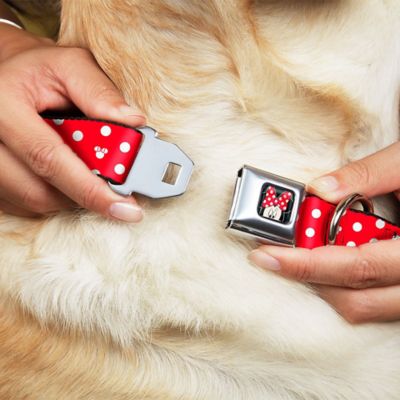 Image showing  Adjustable Minnie Mouse Polka Dot/Mini Silhouette Seatbelt Buckle Dog Collar