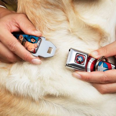 Image showing  Captain America Face Turns/Shield Close-Up Seatbelt Buckle Dog Collar