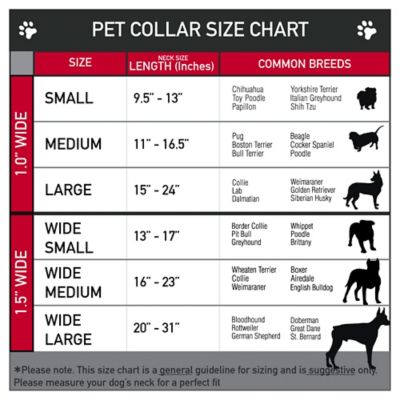 Image showing  Superman/Shield Stripe Seatbelt Buckle Dog Collar