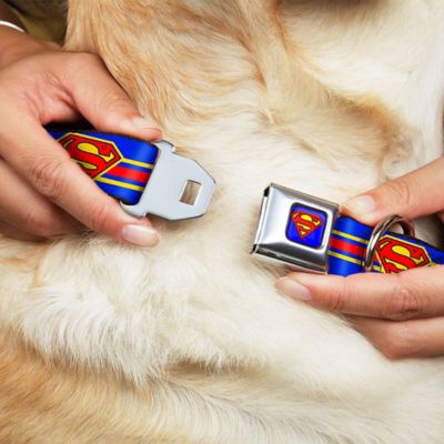 Image showing  Superman/Shield Stripe Seatbelt Buckle Dog Collar