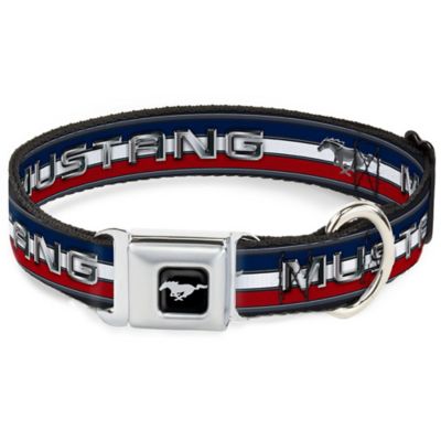 belt buckle dog collar