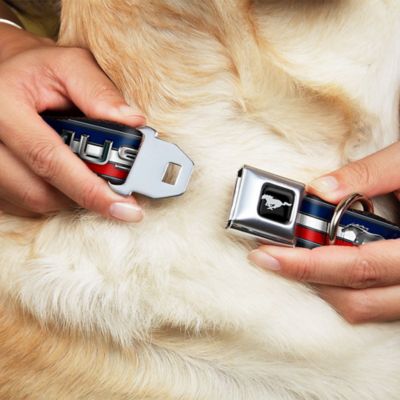 Image showing  Mustang Text with Tri-Bar Stripe Seatbelt Buckle Dog Collar