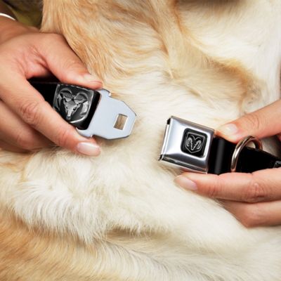 Image showing 1 th Buckle-Down Ram Black/Silver Logo Seatbelt Buckle Dog Collar