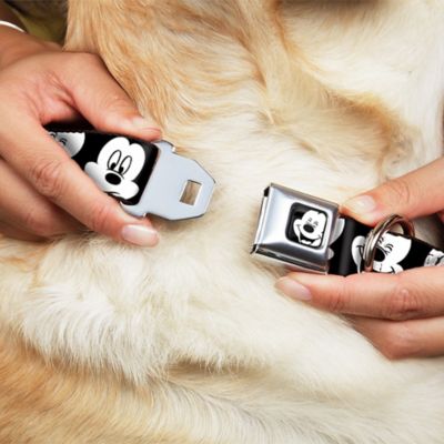 Image showing  Mickey Mouse Expressions Close-Up Seatbelt Buckle Dog Collar