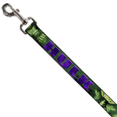 Image showing  Hulk Face Close-Up/Action Pose Nylon Dog Leash, 4 ft., Greens/Purples