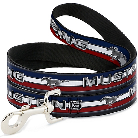 Buckle-Down Mustang Text/Tri-Bar Stripe Dog Leash, 1 in. x 6 ft.