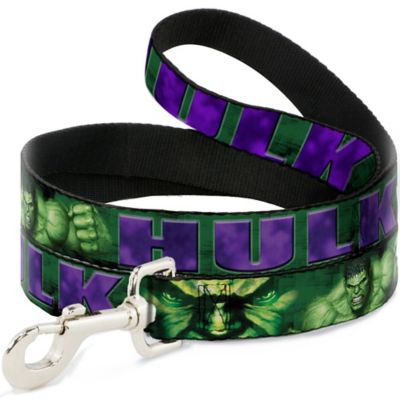 Buckle-Down Hulk Face Close-Up/Action Pose Nylon Dog Leash, 6 ft., Greens/Purples