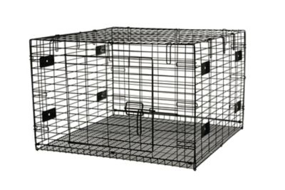 24x24 2024 rabbit cage