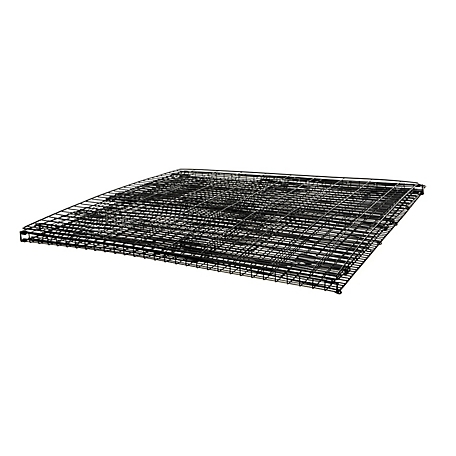 DuMOR Plastic Rabbit Cage Tray, 24 in. x 24 in. at Tractor Supply Co.