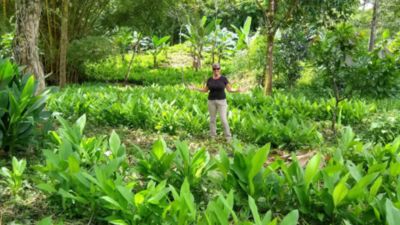 Image showing  Turmeric Golden Paste Immune System Support Powder Mix Supplement for Dogs, 3.5 oz.