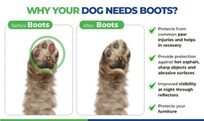 Image showing 5 th Healers Urban Walker Dog Boots, 2-Pack